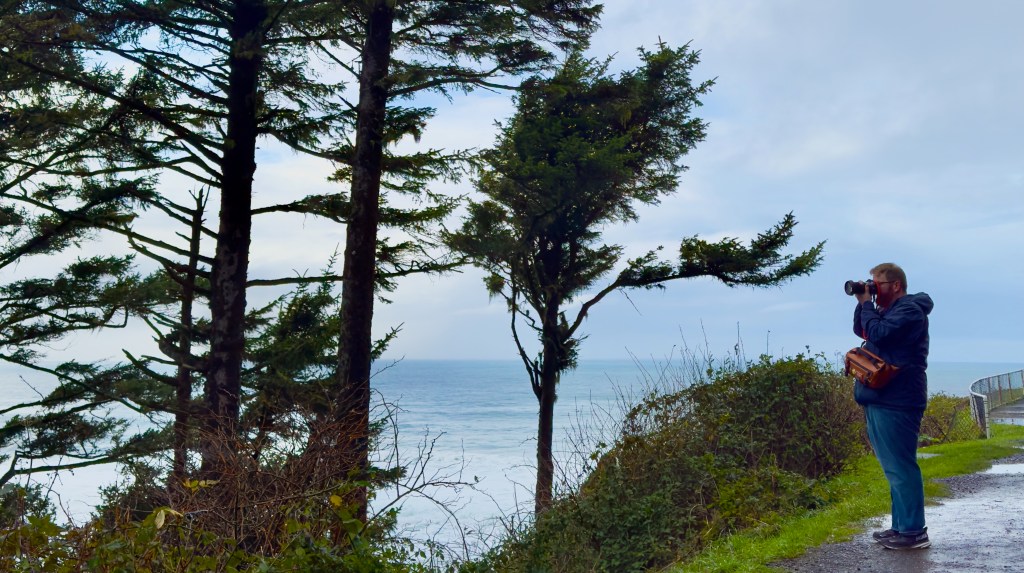 A Year of Capturing&nbsp;Light