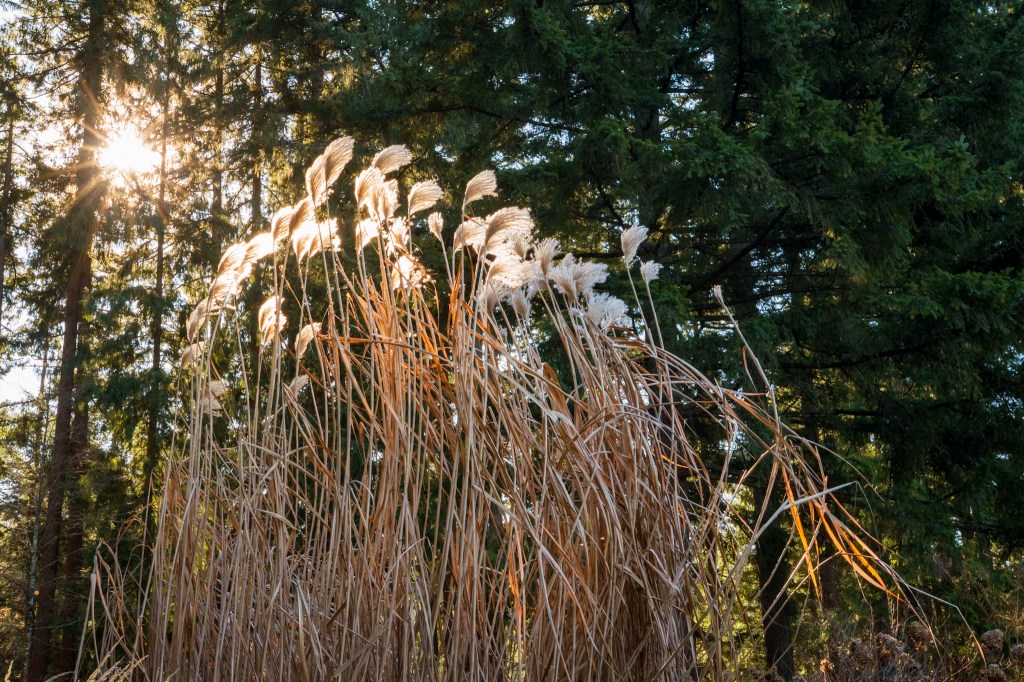 Dark Days in&nbsp;January