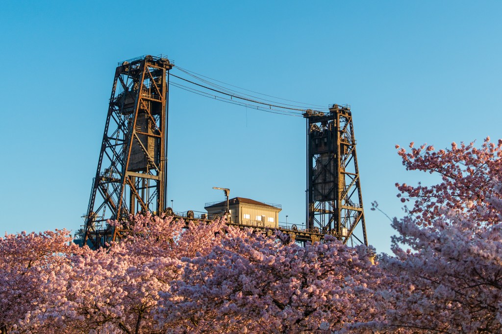 Signs of Changing Days