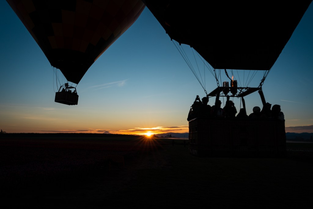 Pollen, Words, and&nbsp;Colors